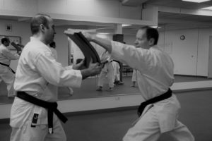 practicing karate techniques